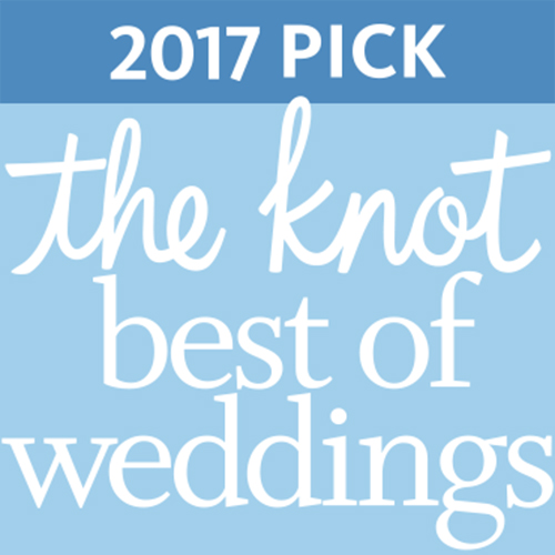 DJ Domenic Best of Weddings 2017
